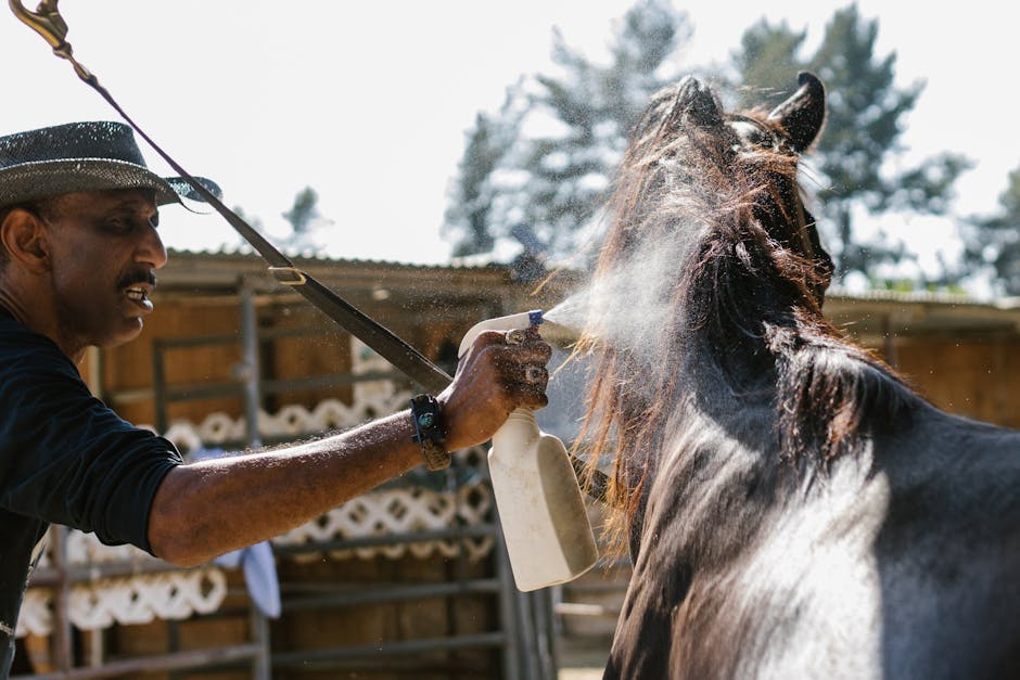 A man applies fly repellent to a horse using a spray bottle on a sunny day.