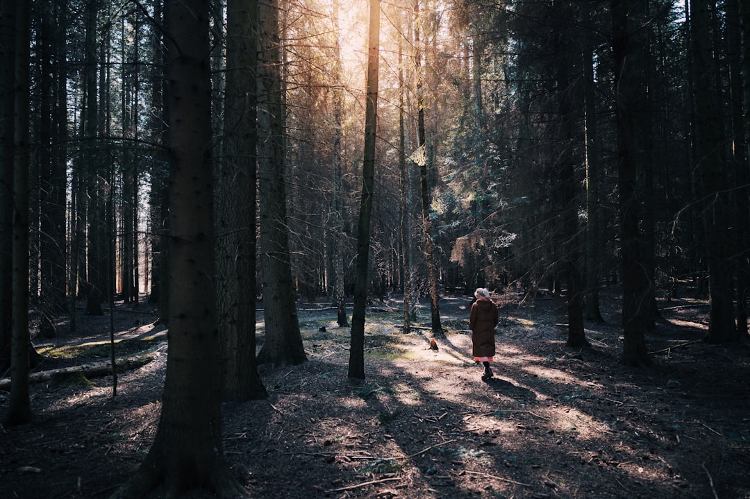 man in brown jacket and black pants standing in the middle of forest during daytime